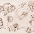 miniature