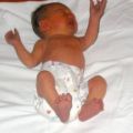 miniature