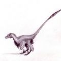 miniature