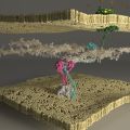 miniature