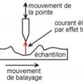 miniature