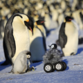 miniature