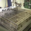 miniature