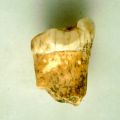miniature