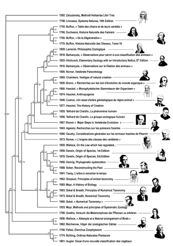 Histoire Des Sciences: Une Classification Des Idées