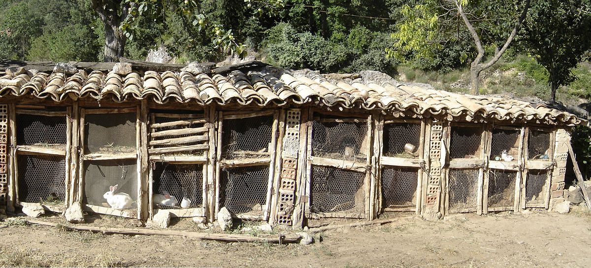 Des clapiers traditionnels, en bois et grillage, couverts de tuiles