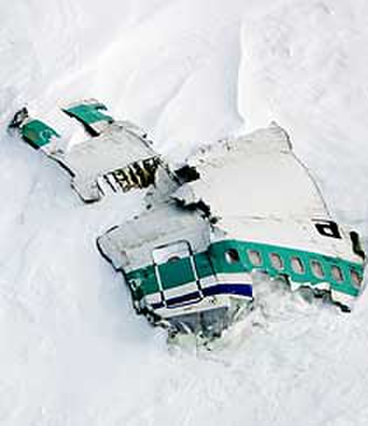 Restes de la carlingue du vol 901 d'Air New Zealand sur les flancs du mont Erebus en Antarctique.