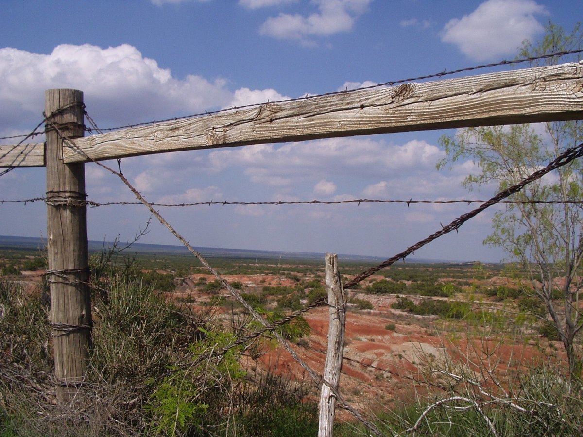 rouleaux de fil de fer barbelé. le fil de fer barbelé est utilisé pour  faire des clôtures, sécuriser la propriété et faire la frontière pour  montrer le territoire de la zone. 20308943