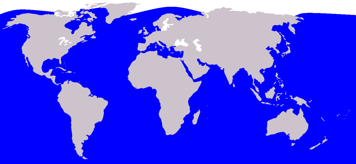 Cetacea range map Orca.PNG