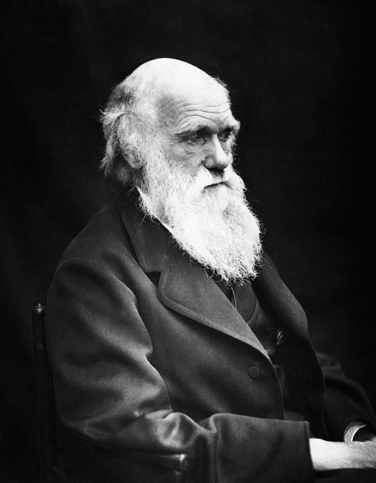 Charles Darwin en 1869, par J. Cameron.