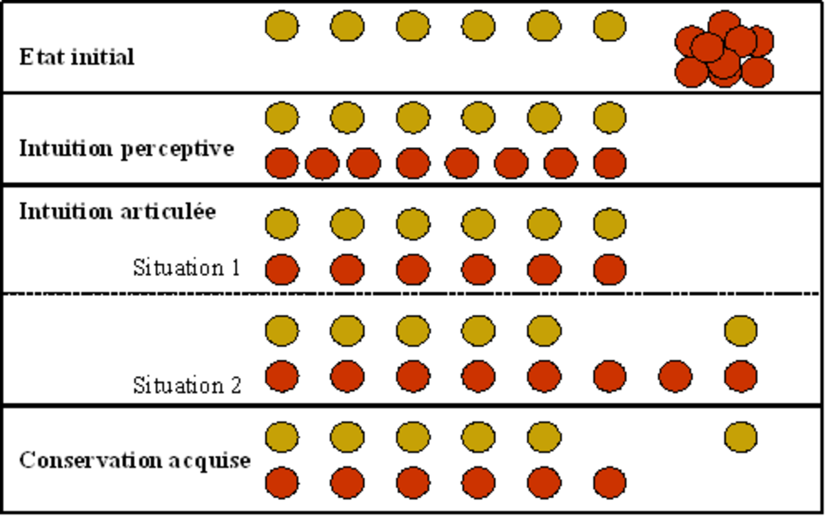 Conservation piaget online definition