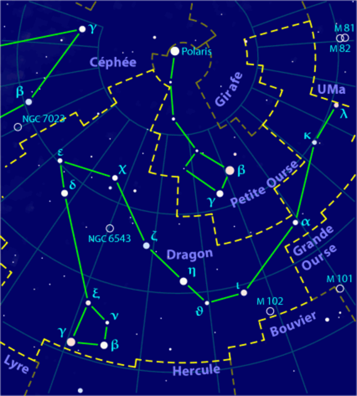 🔎 Dragon (constellation) - Définition et Explications