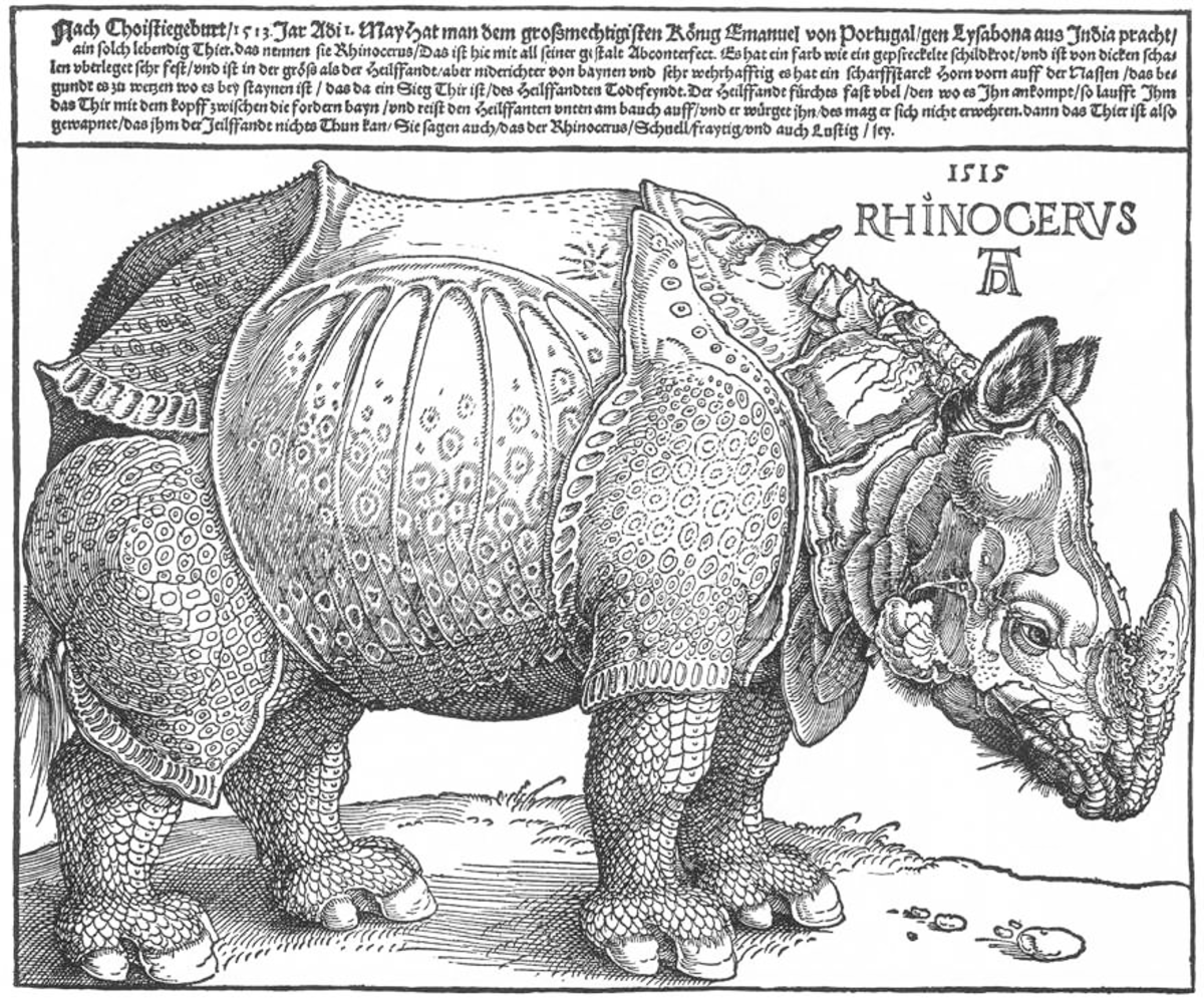 Dürer rhino.png