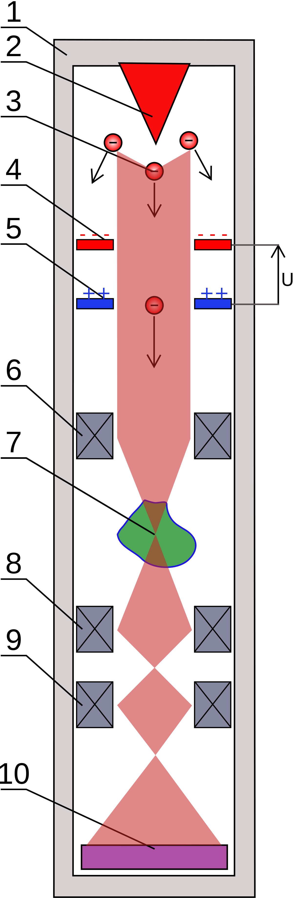 Schéma de principe d'un microscope électronique en transmission