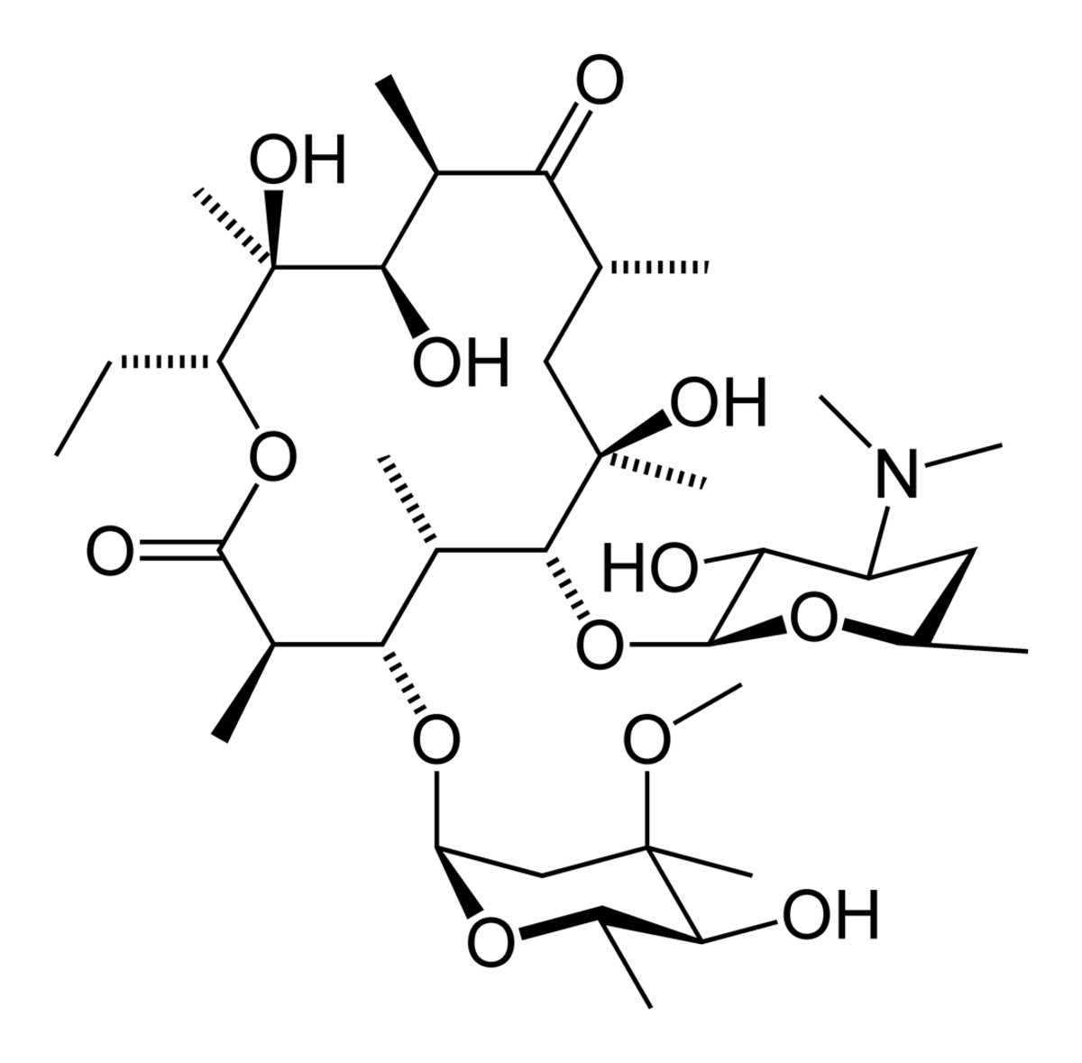 🔎 Érythromycine - Mécanisme d'action