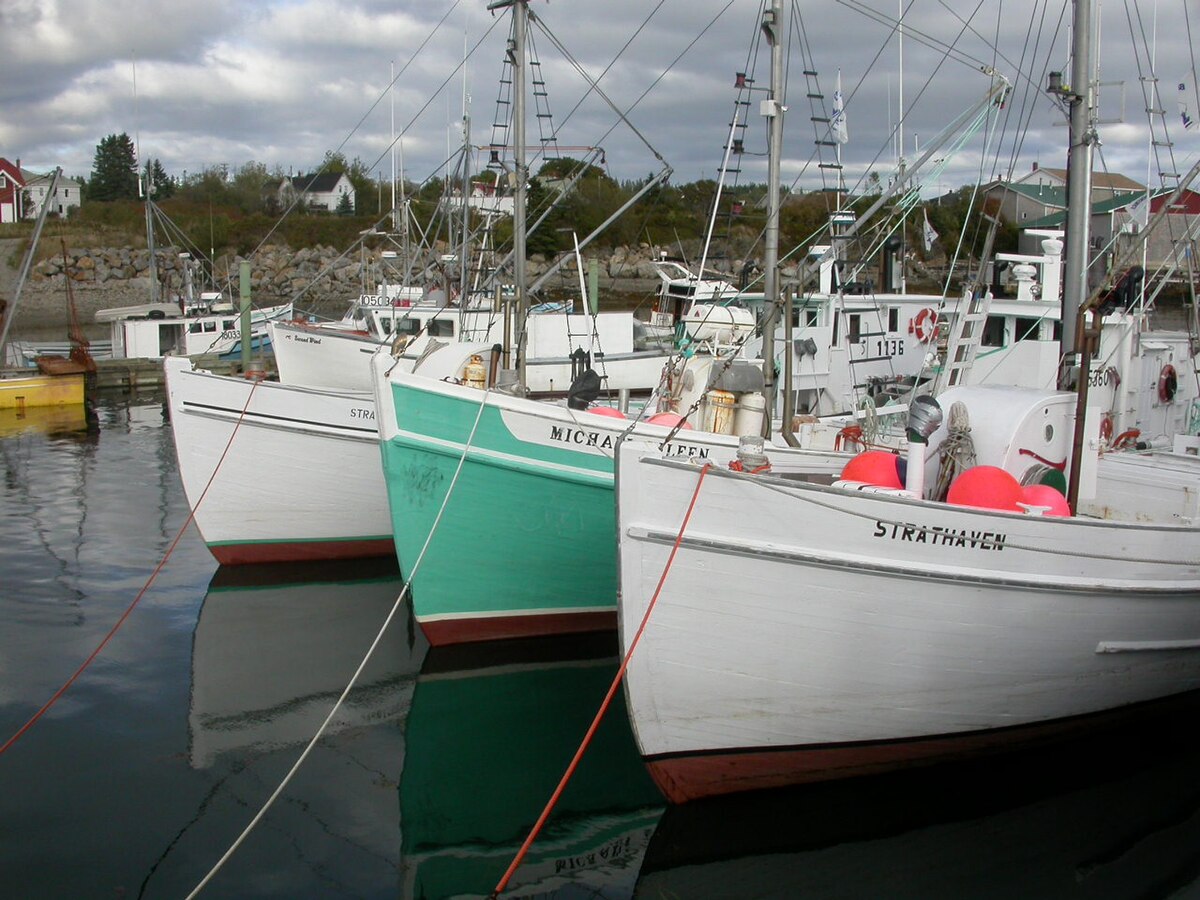 Bateaux de pêche à North Head