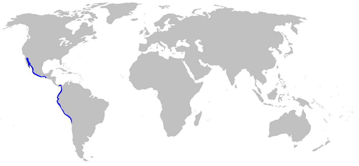 Heterodontus mexicanus distmap.png