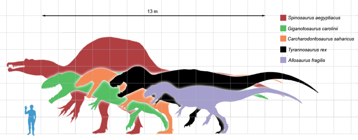 Découverte : le mystérieux Spinosaurus est le premier dinosaure