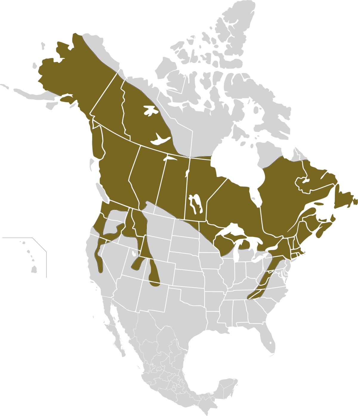 Lepus americanus map.svg