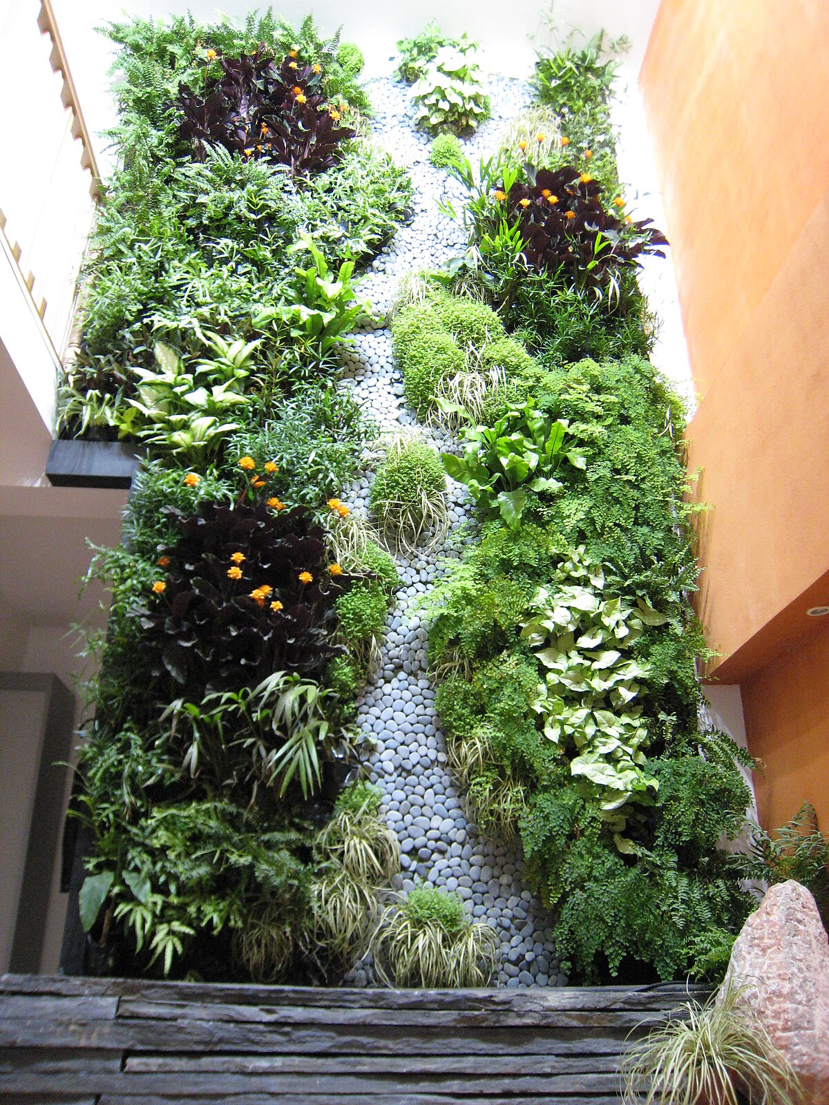 Jardin Vue Et Vert De Mousse Sur Un Mur Blanc Dans Un Intérieur à