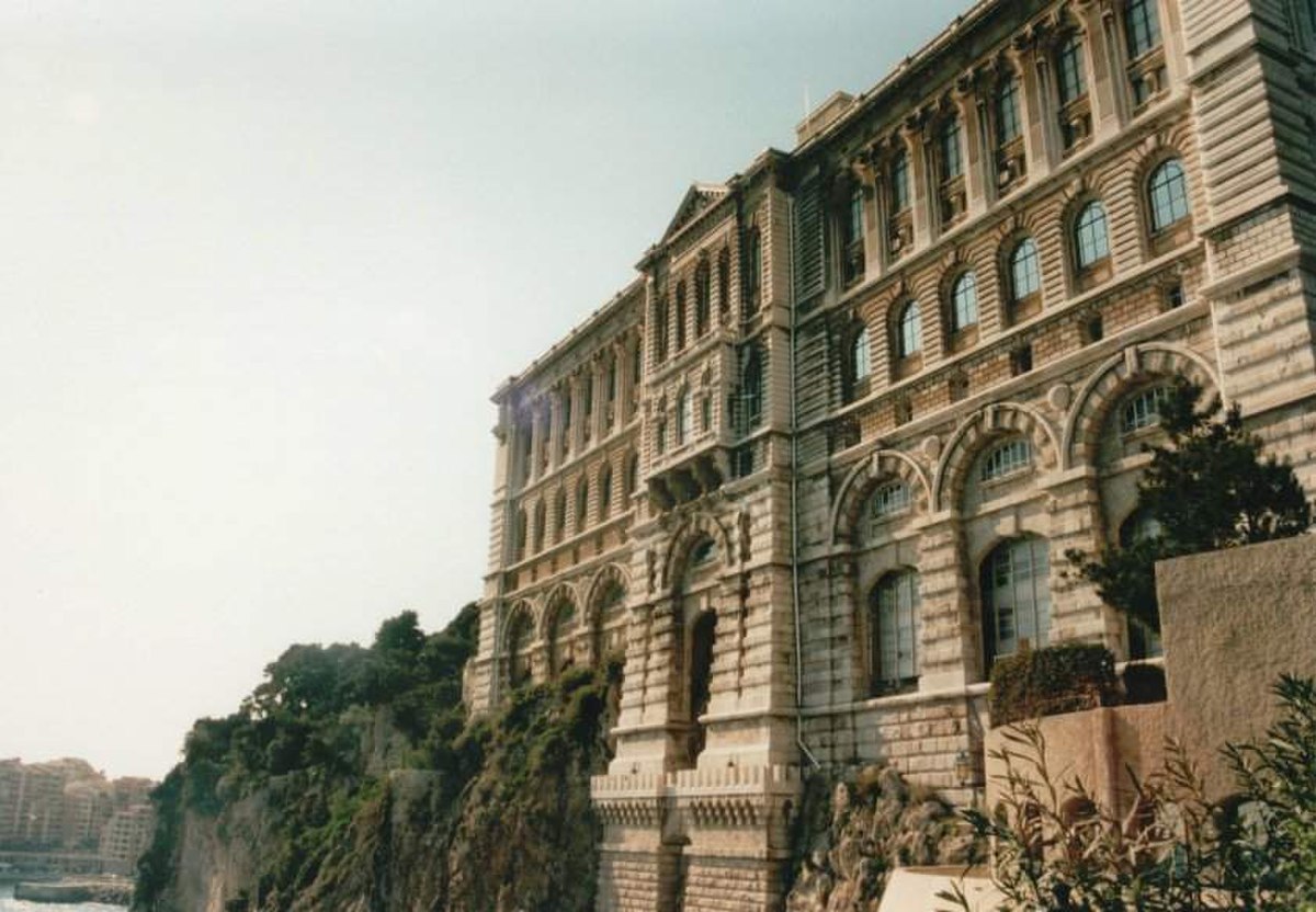 Les méduses de l'Institut Océanographique de Monaco, Fondation Albert 1er