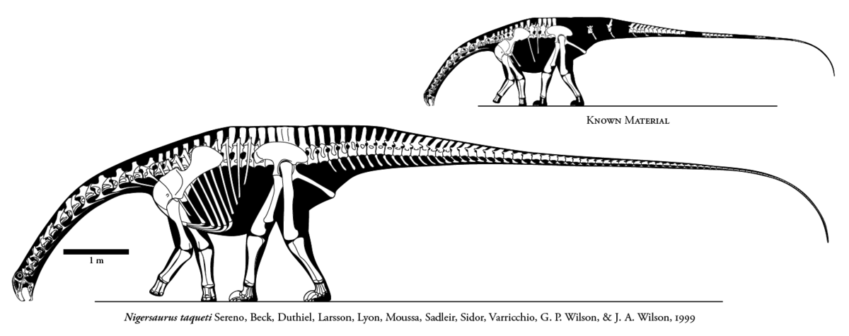 🔎 Nigersaurus - Définition et Explications