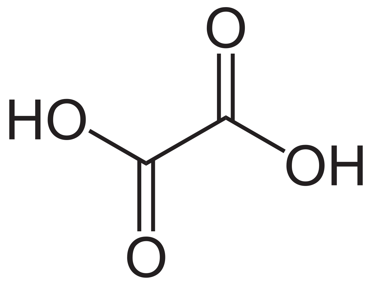 Structure de l'acide oxalique