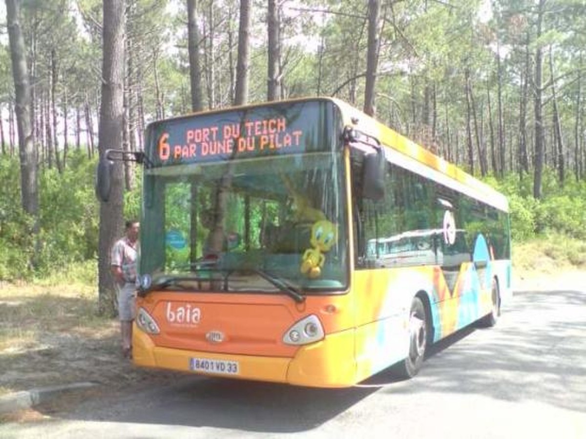 Photo bus Baïa Arcachon ligne 6.jpg