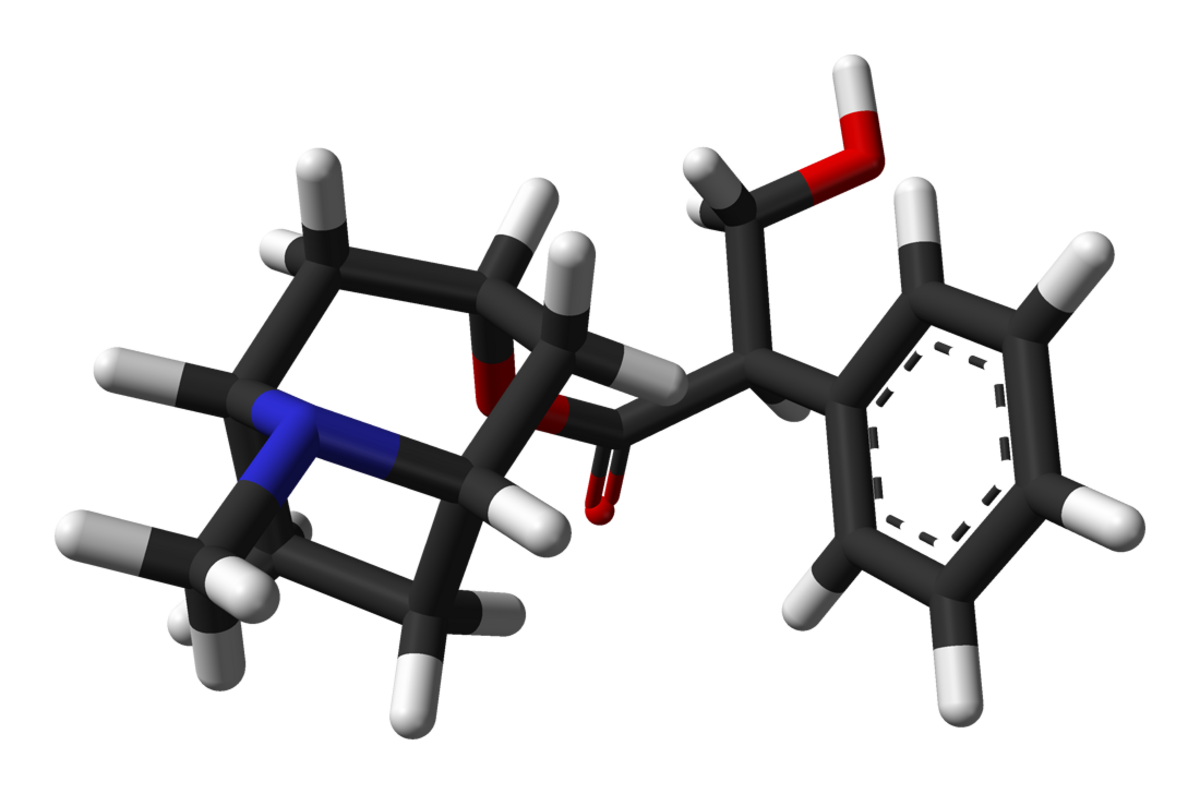Énantiomère R de l'atropine (en haut) et S-atropine (en bas)
