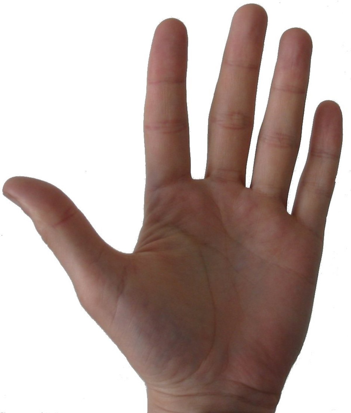 Photo de la paume d'une main gauche