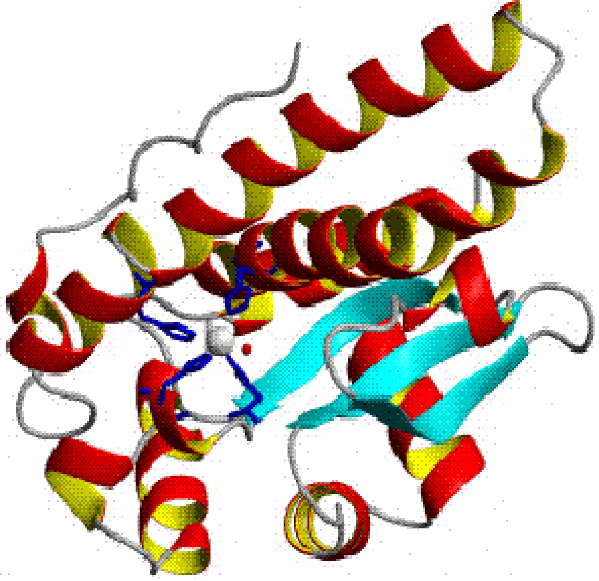 structure de la superoxyde dismutase