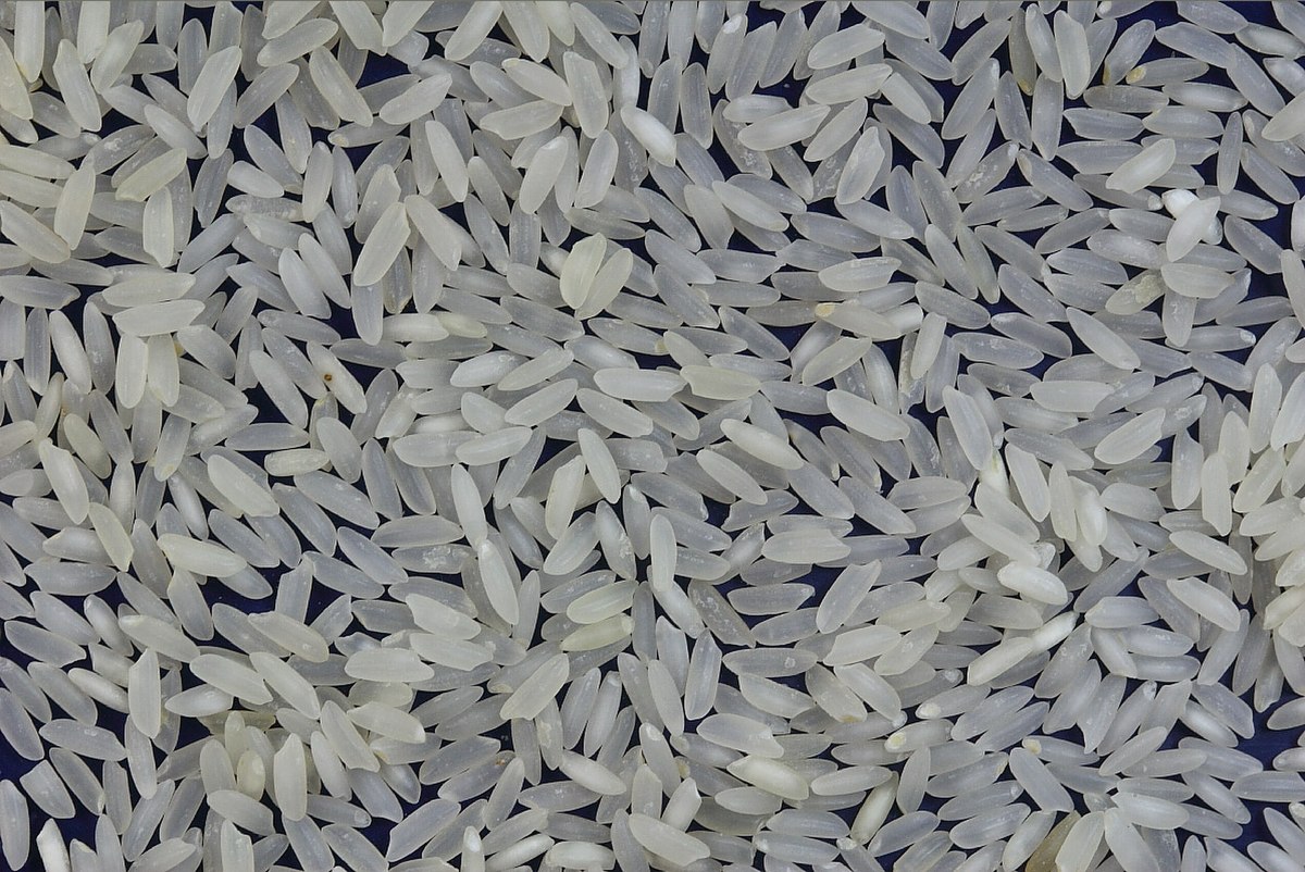 Une molécule du riz complet expliquerait ses bienfaits
