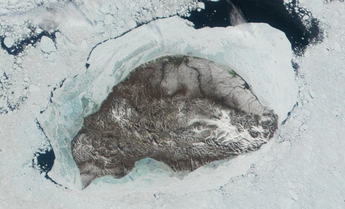 Image satellite de l'île Wrangel (2001).