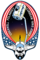 Sts-98-patch.png