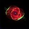Cat's Eye Nebula.jpg