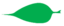 Leaf morphology aristate.png