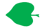 Leaf morphology cordate.png