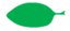 Leaf morphology elliptic.png