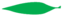 Leaf morphology lanceolate.png