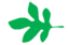 Leaf morphology lobed.png