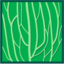 Leaf morphology longitudinal.png