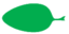 Leaf morphology ovale.png
