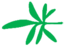 Leaf morphology pedate.png