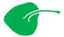 Leaf morphology peltate.png