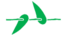 Leaf morphology perfoliate.png