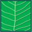 Leaf morphology pinnate.png