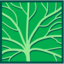 Leaf morphology venation palmate.png