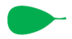 Leaf morphology obovate.png