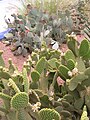 JMajorelle1.51.JPG
