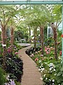Laken greenhouse inside 2.jpg